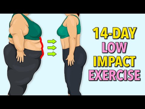 Gentle Exercises to Burn Belly Fat Standing Workout