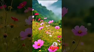 Download lagu Life is a Beautiful Gift! #shorts #viral #motivation #inspiration mp3 Download lagu Life is a Beautiful Gift! #shorts #viral #motivation #inspiration mp3