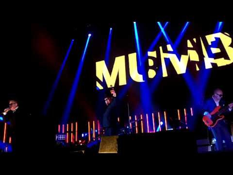 Videoclip de Mumbo Jumbo — Madness