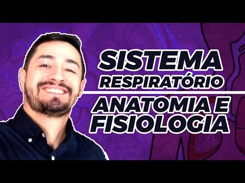 SISTEMA RESPIRATÓRIO | ANATOMIA E FISIOLOGIA