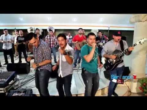 Los Mayitos De Sinaloa Ft. Punto Medio Norteño Banda - El Bob (En Vivo 2014)