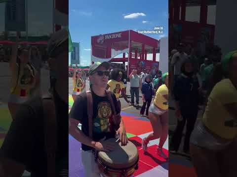World Cup fans show support for the France vs. Senegal match