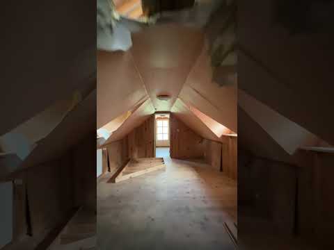 Vidéo