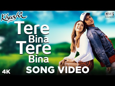 Tere Bina Tere Bina Song — watch video