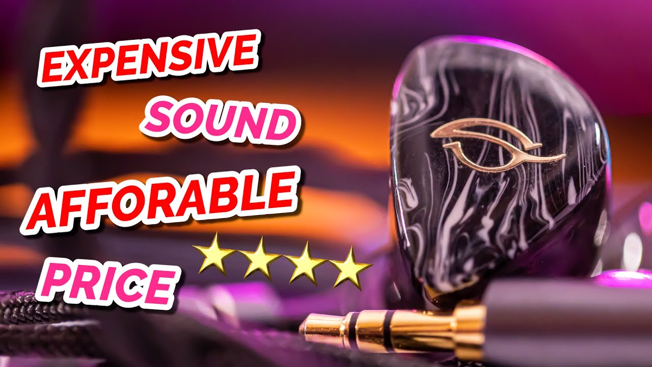 SOUNDS LIKE $2,500?! SeeAudio Bravery IEM Review