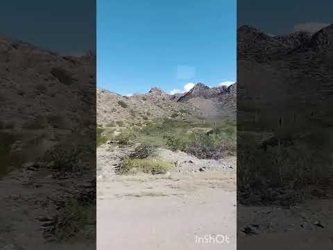 Rumbo a Tinogasta, catamarca