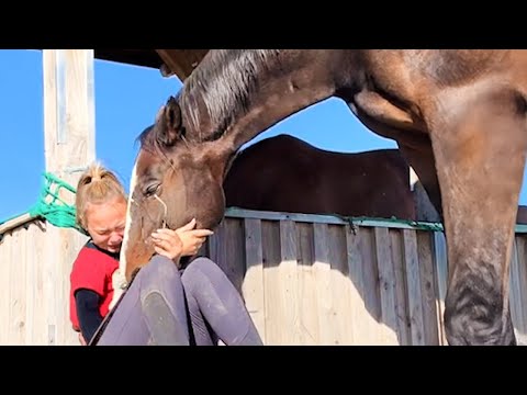 Je pensais que les chevaux étaient simplement forts... jusqu'à ce moment.