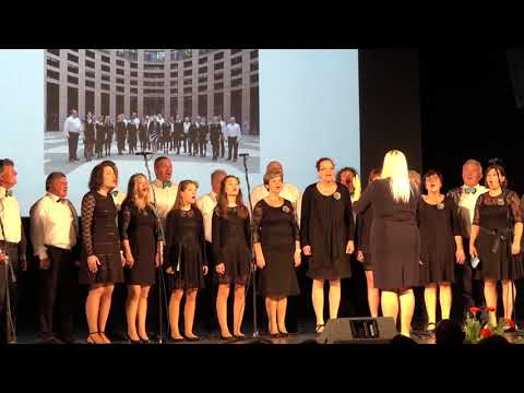 MePZ LIPA Šempas,  Jaz vem za deželo 2019