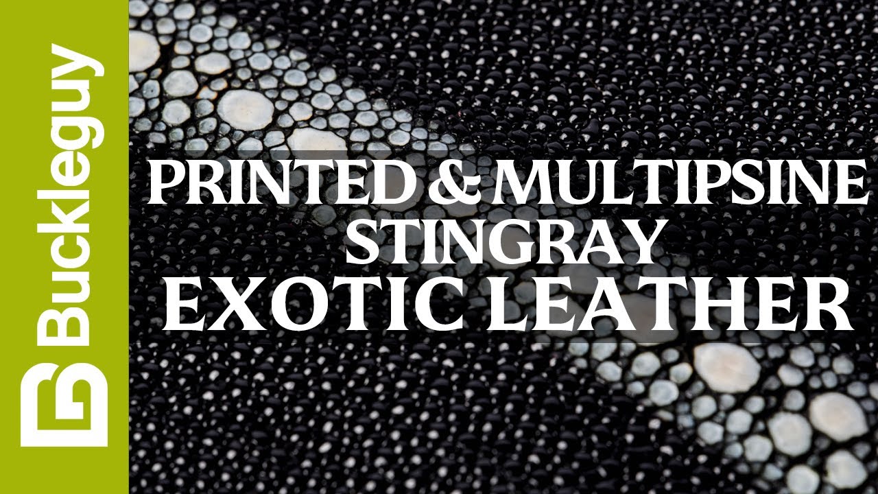 Exotic Leather, Printed & Multispine Stingray | Full Grain Leather Demo
