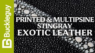 Exotic Leather, Printed & Multispine Stingray | Full Grain Leather Demo