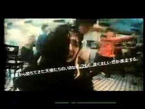 園芸 ヘルクシン、ソレイロール・ド・ソリル、天使の涙