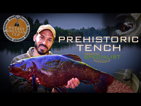 Big Tench From Big Pits | Daniel Woolcott | Specimen Tench Fishing