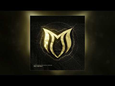 Aurosonic feat. Nicol Cache - Tell Me Why