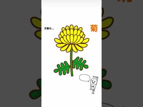 墓地に適した手入れの簡単な植物は何ですか？私たちのトップ5！  庭園