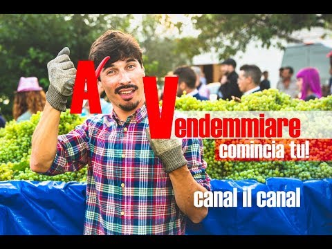 A VENDEMMIARE COMINCIA TU!