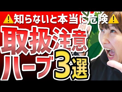薬用植物としてのセントジョーンズワート: 応用と効果 植物