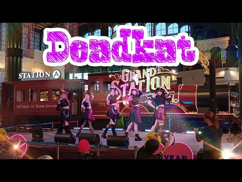 Deadkat // Mid year Miss You Sale // Fashionisland // 18 มิ.ย.2022