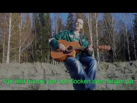Vargen i våra hjärtan (Danny Norin)