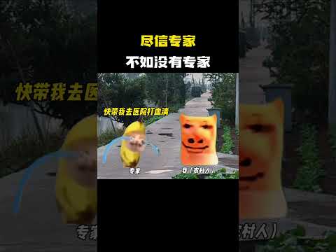 尽信专家，不如没有专家 #猫meme #内容过于真实 #funny