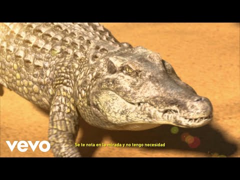 Lágrimas de cocodrilo