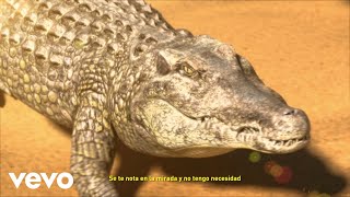 Rels B - LÁGRIMAS DE COCODRILO (Lyric Video)