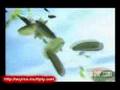 TVC Advertising Iklan DIAPET Indonesia Alami