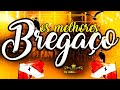 BREGAÇO OS MELHORES PRA VOCÊ CURTIR DJ LANZINHO MIX