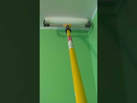 Ceiling Painting With An “18”inch Roller ￼#painting #trending #viral #designer
