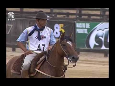 Bocal de Ouro – 3° lugar fêmeas – Jotace Tenteadora