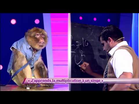 Artus & Arnaud Tsamere - J'apprends la multiplication à un singe #ONDAR