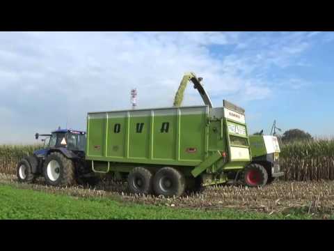 Loonw. Desmeth - Pepingen