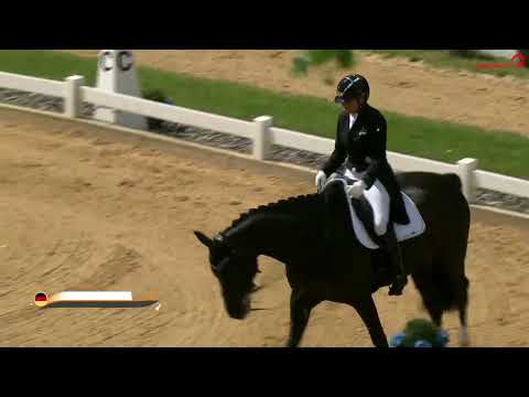 Dorothee Schneider mit Lordswood Dancing Diamond I Finalqualifikation Derby Stars von Morgen 2022