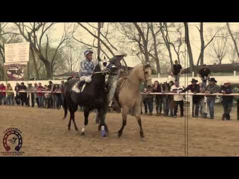 Prófugos de Nuevo León - El Cirujano (Audio Oficial)