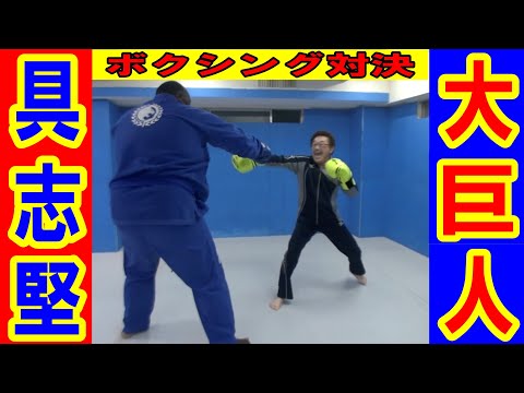 具志堅VSBIGジョーのガチボクシング対決‼
