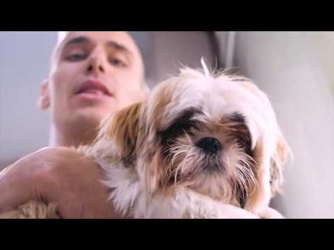 Sonse Wymf - Sensimilla (prod. Tosuaw)