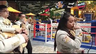 Video de Mariachi Nuevo Jalisco