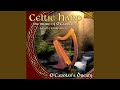 O'Carolan's Dream