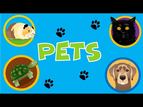 PETS FOR KIDS- LAS MASCOTAS EN INGLÉS Y SUS SONIDOS.