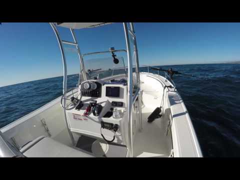 2016 Mako 204CC Review