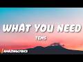 Tems - What You Need (Lyrics)