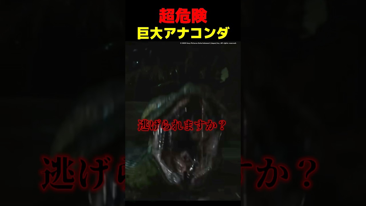 危険すぎる人喰いアナコンダ #映画 #紹介 #洋画 #感想動画 #anaconda #アナコンダ #危険