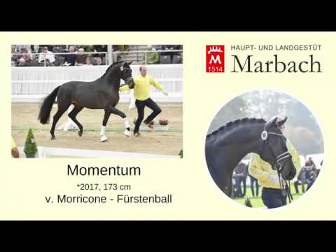 Momentum *2017 v. Morricone - Fürstenball