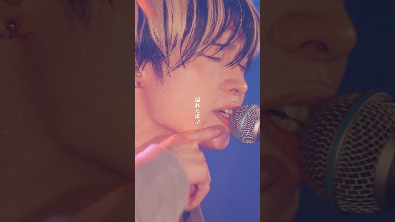 犬系バンドマンは好きですか？ #浪漫派マシュマロ #インディーズバンド #邦ロック