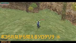 [MoE] ボコられながら覚えるソロゲリラ ㊱ [WarAge]