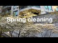 Spring cleaning