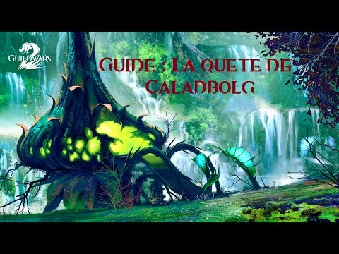 Guild Wars 2 - Guide : Restaurons Caladbolg !
