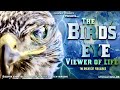 Life Altering Music The Bird S Eye Viewer Of Life