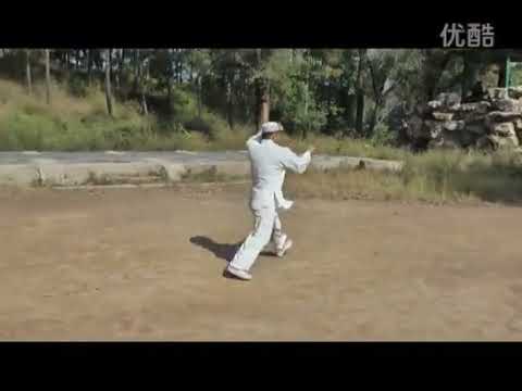 The Five Elements Fist Wu Xing Quan in Guo’s Xing Yi Quan