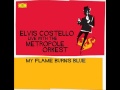 Elvis Costello & Metropole Orchestra Almost Ideal Eyes (live)