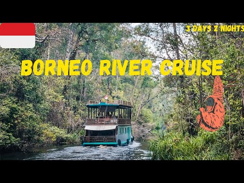 3 day Borneo River Cruise in Tanjung Puting National Park | Orangutan Adventure [4K]